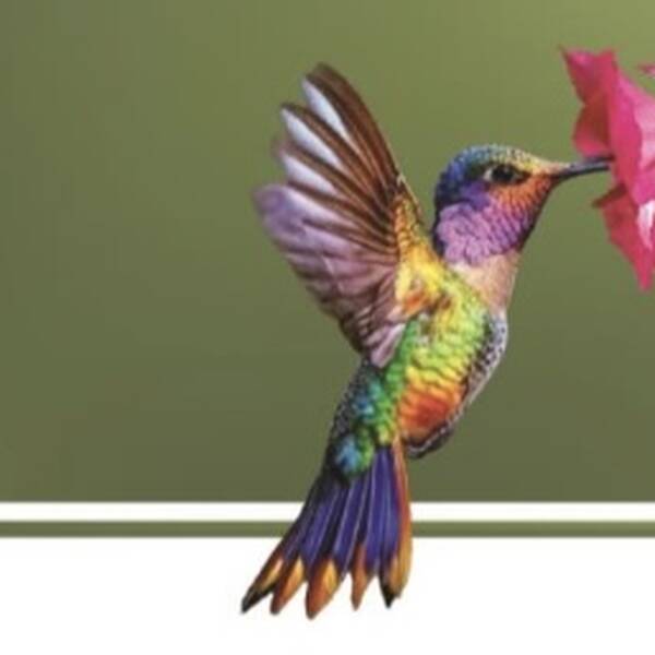 Generic placeholder image