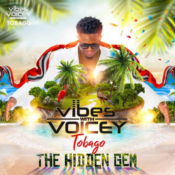vibes with voicey tour ny